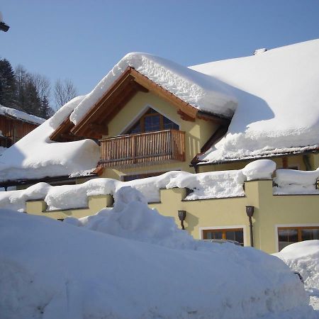 Steuer 59 App 6 Annaberg Annaberg im Lammertal Exterior foto